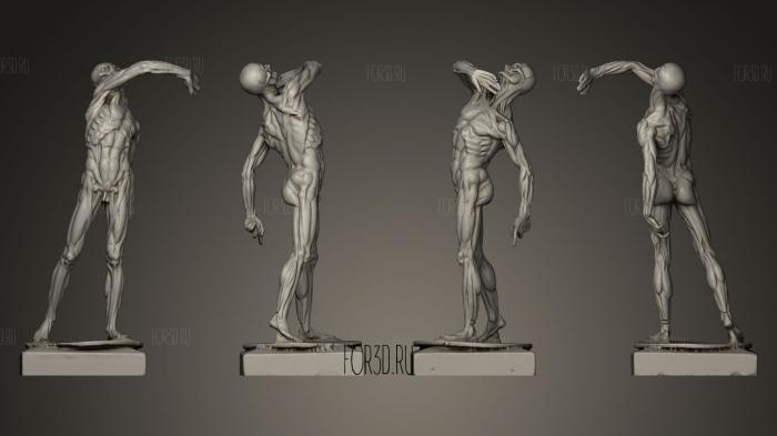 Anatomical figure 22 stl model for CNC